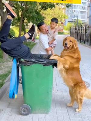 A post by @pets_doggy on TikTok caption: Dogs to take care of children, but encountered bullying children passers-by Dogs this wave operation is great#dog #fyp #pet