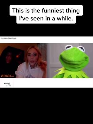 A post by @ghostgaming502 on TikTok caption: Check out the link in my bio!!!              #kermit #kermitthefrog #funnyy #UnfoldChallenge #funnyvideo #JDVaporMaxShuffle #fyp #fypシ