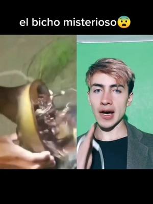 A post by @eliastein on TikTok caption: ¿Te lo comerías? (envíame tu respuesta por Insta: Eliastein) #limpieza #eliastein @eliasoy