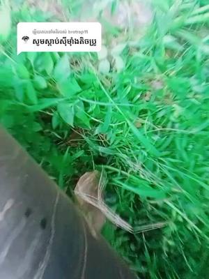 A post by @thornnay on TikTok caption: ឆ្លើយតបទៅកាន់ @brotrap11 អត់មានអ្នកថតឲ្យថតម្នាក់ឯងពិបាកណាស់មេអើយ អត់សូវឮទេរៀនកែ នឹងមេ