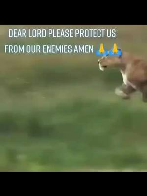 A post by @sbabesa on TikTok caption: AMEN 🙏#