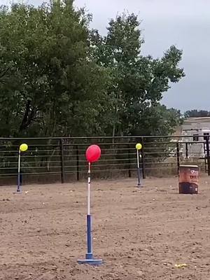 A post by @lismitchl on TikTok caption: Back At It!! #FriendlyFuture #letsgo #mountedshooting #girlswithguns #cowgirlshit