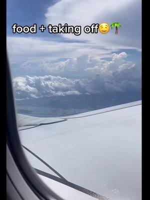 A post by @.preppy.randomm on TikTok caption: ny >>> palm beach 🌴💋✈️ #foryou #unshadowbanned #viral #foryoupage #airport #airtravel #plane #fypage #fyp #repost #palmbeach #florida #vacation #fy