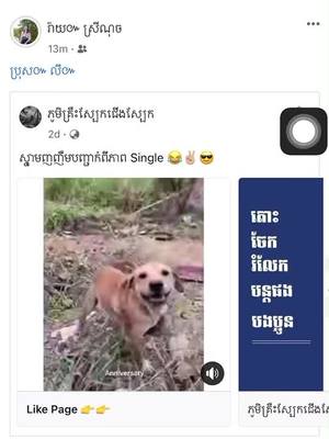 A post by @raysreynich on TikTok caption: អាណិតប្រុសលីដល់ហើយ😂😂😂