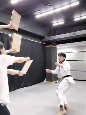 A post by @unprofessionalpuppets on TikTok caption: @shinmincheol My Cheerios #ChewyChattyPets #slowmotion #karate #letsgo #getit #ohnono #martyd #CODAduets #dang #board #cobrakai #blackbelt #cheerios