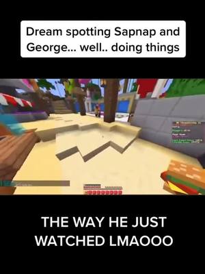 A post by @dreamsgreeneye on TikTok caption: WHAT ARE THEY DOING #dnf #dream #dreamsmp #mcc #dreamwastaken #sapnap #george #georgenotfound #mcyt #Minecraft #snf #dreamnotfound #mc #fyp #dwt