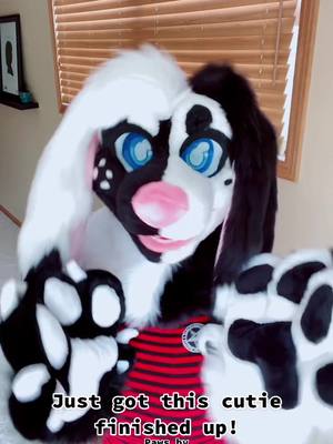 A post by @starpupstudio on TikTok caption: Getting this baby ready to list on The Dealer's Den!! He was a personal suit but I've altered him for a new home! #furryfandom #furrytiktok #fursuit