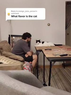 A post by @seeking.randomness on TikTok caption: Reply to @orange_juice_person I think Tuxedo #catsoftiktok #cat #tuxedocat