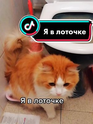 A post by @masana.ninel on TikTok caption: Озвучка @kate_shlenova