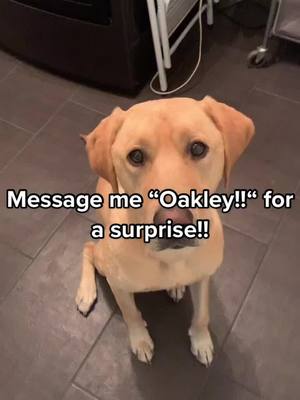 A post by @oakleydokley2 on TikTok caption: Did you do it? 💗