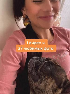 A post by @moiseyfrenchbulldog on TikTok caption: Мое сердечко 💔