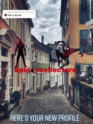 A post by @chuckykillerdoll133 on TikTok caption: Reply to @spideycollecters