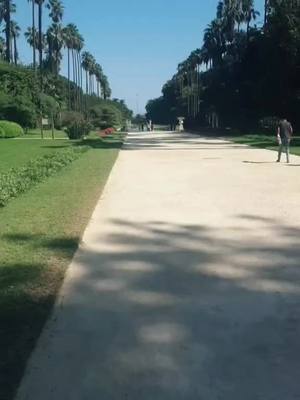 A post by @bella_chay on TikTok caption: #algerie 🇩🇿#alger #jardindessai #setifienne🏁 #setif_19 #france🇨🇵 #❤