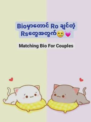 A post by @noraslyy on TikTok caption: #fyp #matchingbio #tiktokmyanmar #Bioidea #romance