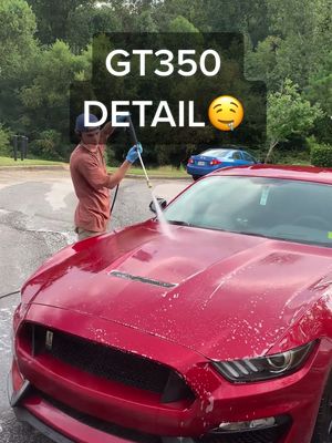 A post by @johnnycleans on TikTok caption: Detailing my friend’s beautiful GT350😳 #satisfy #satisfyingvideo #satisfyingcleans #detailing #CleanTok #cleaningtiktok #gt350 #mustang #fyp