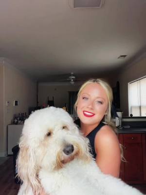 A post by @baxlinds on TikTok caption: ITS GAME DAY!! 🐾 #godawgsbaby #IDeserveTuitionContest #bestfriendscheck #ChewyChattyPets #goldendoodle #foryoupage #fyp