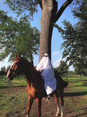 A post by @fbblagwe on TikTok caption: On fait la trend à notre manière😋 la prochaine fois c’est Ramses qu’on déguise @claire_cairo1219 #equestrian #horse #foryoupage #foryou #fyp