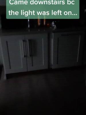 A post by @bluefloofuk on TikTok caption: Scared the heck out of me since I was home alone XD #dutchangeldragon #fypシ #TakingCareOfBiz #dutchiesoftiktok #irnbru #furry