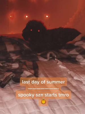 A post by @spookyober on TikTok caption: CANT WAIT #halloween #october #spookyzn #pumpkinseason #fall2021 #spookyseason #halloweencountdown #fall #halloweentok