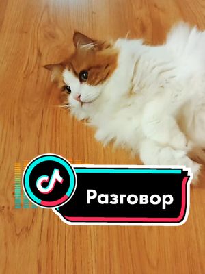 A post by @masana.ninel on TikTok caption: #разговор с Масяней 😹 Делайте звук погромче 🔊