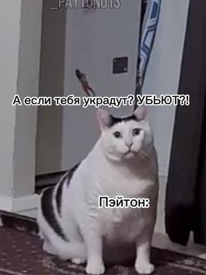 A post by @_payton013 on TikTok caption: Простите вначале ошиблась буквой :отпрашивается:.. Один вопросик что бы вы хотели видеть на моём аккаунте? #🌷#тиктокврекипрошу🙏 #вреки💙 #ХОЧУВРЕКИ