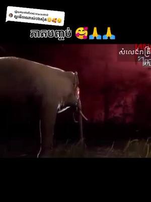 A post by @brovrt27 on TikTok caption: ឆ្លើយតបទៅកាន់ @blacknith2