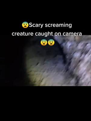 A post by @mr.scaryhorror3am on TikTok caption: 👹👹scary screaming creature caught on camera, thank you so much for 10,000 followers ❤️❤️❤️❤️