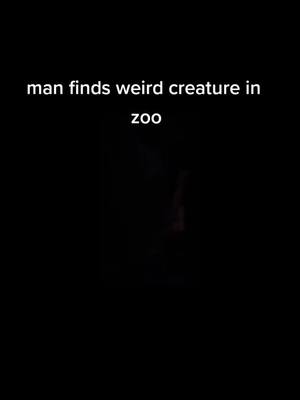 A post by @mr.scaryhorror3am on TikTok caption: Man finds weird creature in Romania zoo, thank y'all so much for 20,000 followers ❤️❤️❤️❤️❤️❤️❤️❤️