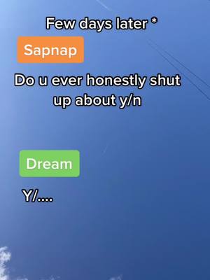 A post by @dsmp_hi.simpsx on TikTok caption: #yn #pov #story #dsmp