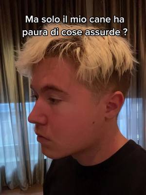 A post by @sichiamapesca_ on TikTok caption: Via con i duetti