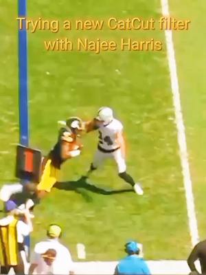 A post by @diontaepost on TikTok caption: #Fyp #Viral #Famous #football #Nfl #Steelers #Najeeharris #CapCut #Filter