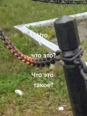 A post by @mila_pet3 on TikTok caption: Что это такое? Как вы думаете? Пишите.