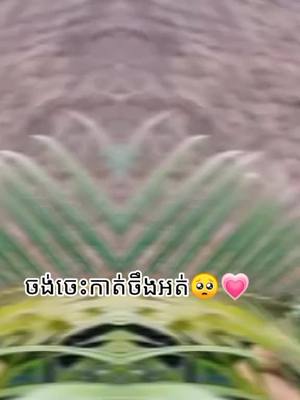 A post by @fan_nich8 on TikTok caption: អានខាងលេី🥺🌚#12345678910_vin #12345678910_vin