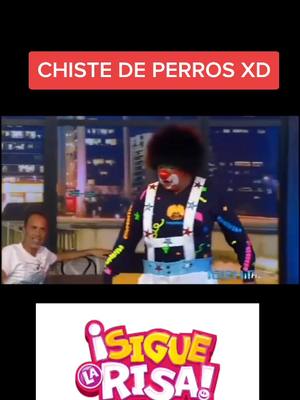 A post by @siguelarisa on TikTok caption: CHISTE DE PERROS! #chuponcitotv  #chistesgraciosos