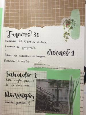 A post by @notes.rebeca on TikTok caption: Queréis que haga más vídeos como este???🌿 #journalplanning #journaling #journal #bujo