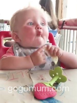 A post by @followgogomum on TikTok caption: Cute Babies Eating Lemons  #fyp #fypage #foryoupage #funnyvideos #funnybabies #funnybabyvideos #cutebaby #cutebabychallenge #eatlemon #lemon