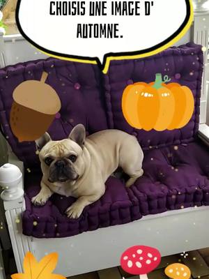 A post by @alexandraheili on TikTok caption: Jouez le jeu 🌻🍁🍄🍂#bouledoguefrançais #petsontiktok #frenchbulldog #funnydog #jeu #chiens