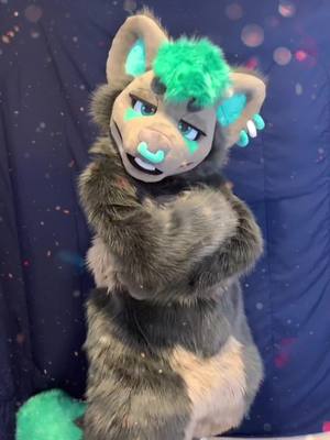 A post by @blackcheetah905 on TikTok caption: “What are you looking at” Dont mess with this Pine Marten😳Commissions for @Zayn/Quinn #furry #fursuit #foryoupage #fyp #viral #fursuitmaker #foryou