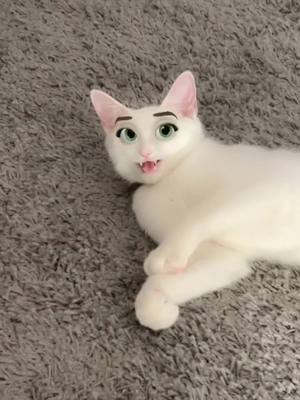 A post by @blancathecat_ on TikTok caption: Best filter ever 😹😻 #catsoftiktok #cats #foryou #tiktokcat #kittensoftiktok