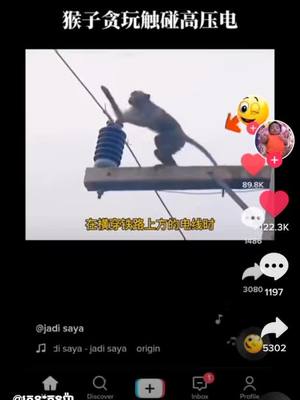 A post by @hicr88888 on TikTok