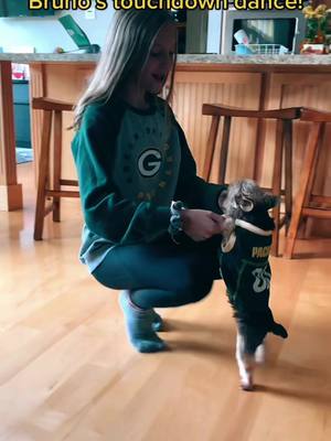 A post by @just.a.pup_bruno on TikTok caption: Football pup🏈#fypシ #yorkiesoftiktok #yorkshireterrier #packers