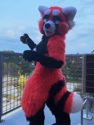 A post by @emersalad2 on TikTok caption: How’s your Sunday going? ♡´･ᴗ･`♡ #fursuit #furry #fursuitdance #fypシ #furrytiktok #furriesoftiktok #furries #furryfandom #fursuiter #fyp