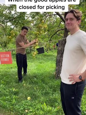 A post by @canadian.brothers on TikTok caption: Apple thieves 🍎 #apple #applepicking #canada #brothers #funnytiktoks #thanksgiving #keepitsimple #mtl #fyp #foryoupage #mtl