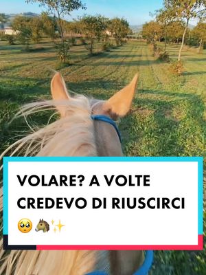 A post by @carolina_bibi on TikTok caption: Best feeling in this world 🤩🐴 #horselife