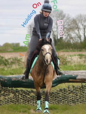 A post by @bobbishepherd on TikTok caption: Such an elegant equestrian 😂 #equestrian #fail #fyp #pony #crosscountry #welshd #holdingonfordearlife #equestriangirl