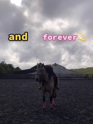 A post by @thedunbee on TikTok caption: 💛🤍 #TeamBumble #equestrian #horse #equine #pony #horsegirl #fypシ