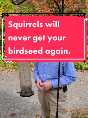 A post by @whatwouldpauldo on TikTok caption: Quick Tip to prevent squirrels from eating your birdseed. #LifeHack #showmehow #tipsandtricks #LearnOnTikTok #slinky #tutorials