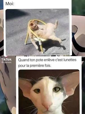 A post by @ghost_face_cult_.972 on TikTok caption: #reddit #foryou #pourtoi #partage #commente #drole #like #abonne