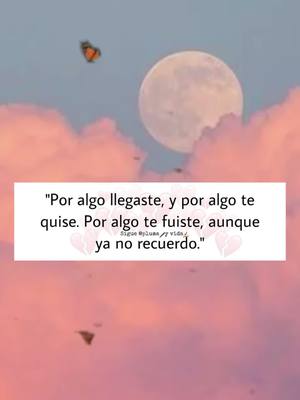 A post by @plumayvida on TikTok caption: #fyp #frases