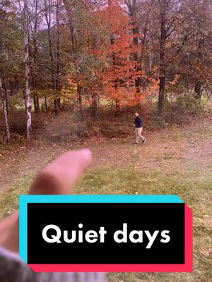 A post by @followpeteandash on TikTok caption: Quiet days 🥰 #michigan #cabininthewoods #fall #couples #couplestiktok #marriedlife #peteandash